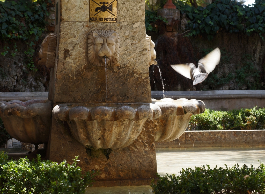 Fountain Palma de Majorca