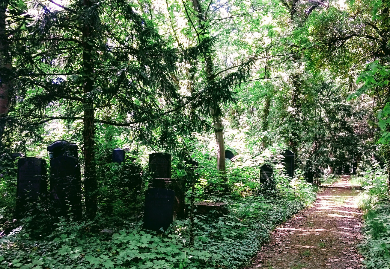 jewish cemetery 2017
